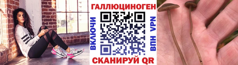 hydra ссылки  купить наркотики цена  Арамиль  мориарти формула  Галлюциногенные грибы ЛСД 
